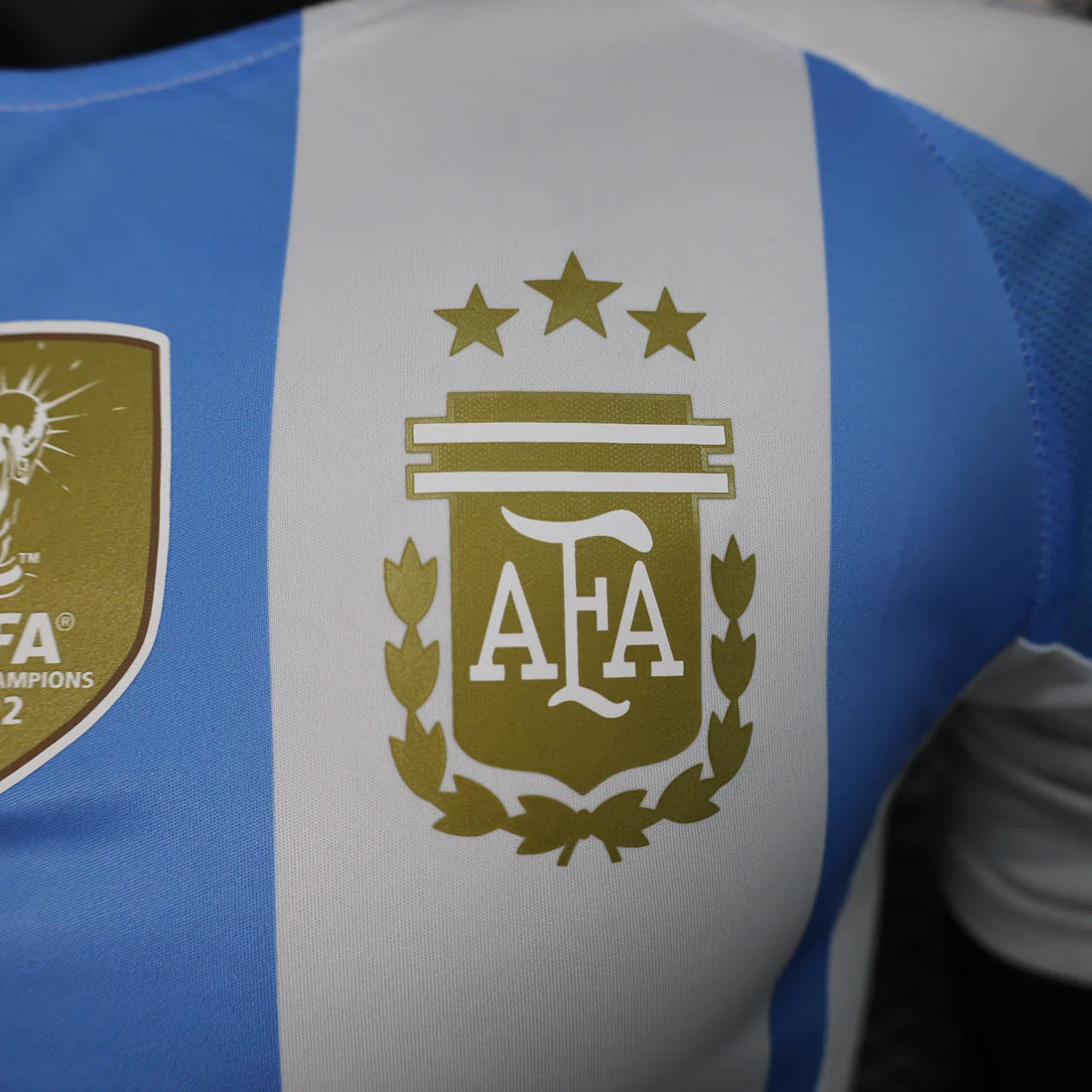 Argentina 2024 Local Copa América