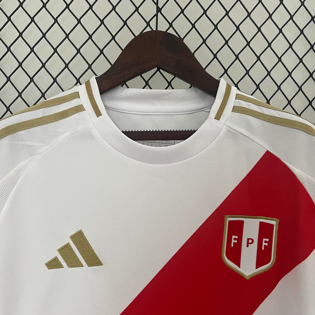 Perú 2024 Local Copa América