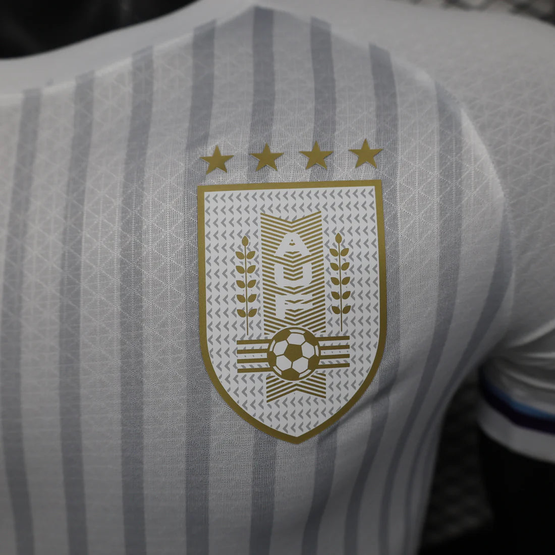 Uruguay 2024 Visitante Copa América