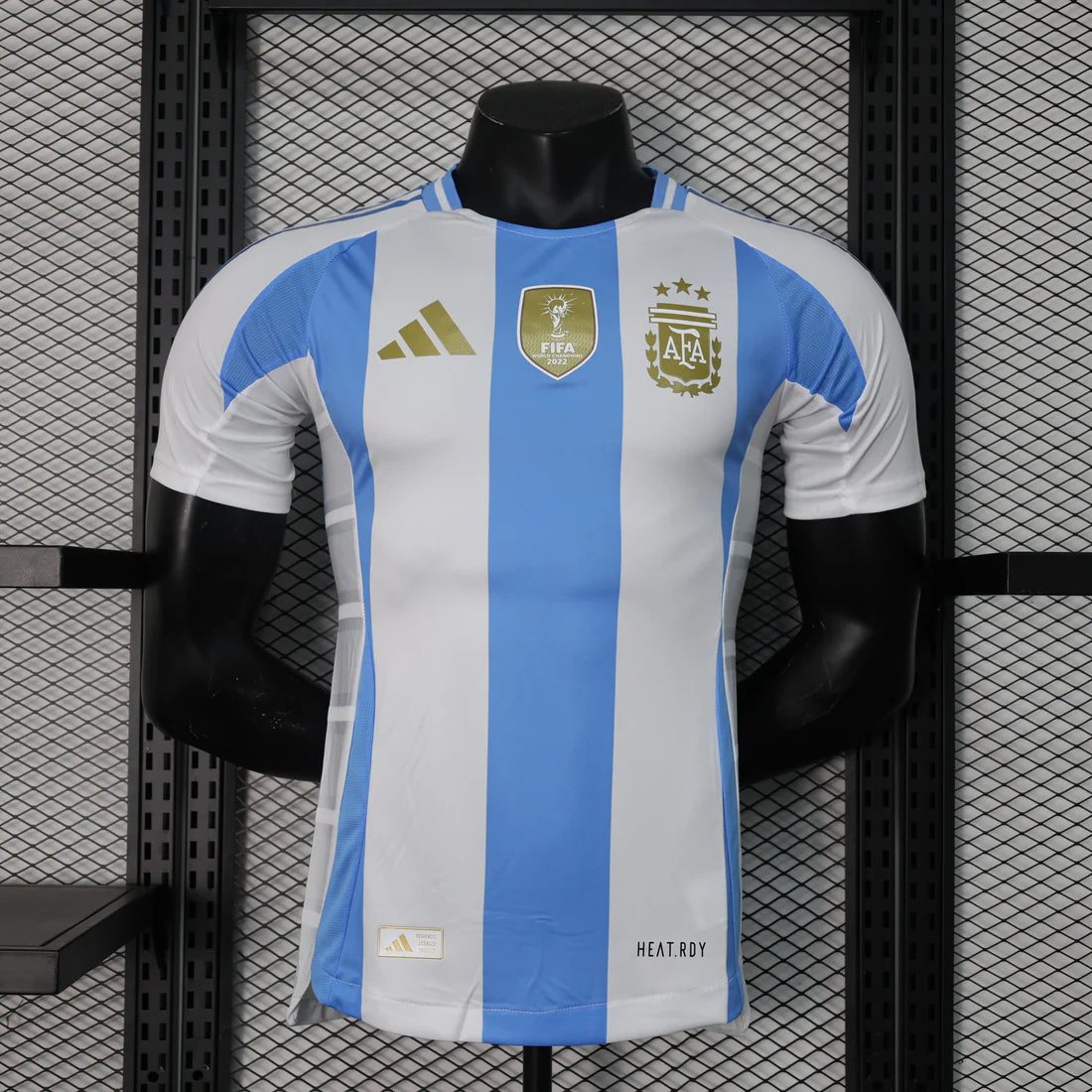 Argentina 2024 Local Copa América