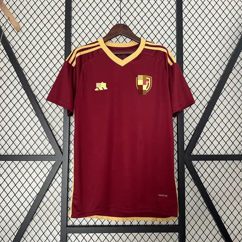 VZ 2024 Local Copa América
